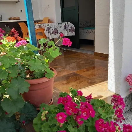 Denis Appartement